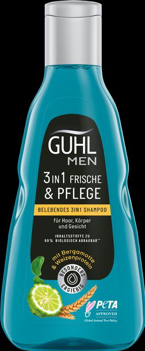 Immagine prodotto Guhl Uomo 3in1 Shampoo Freschezza e Cura (250 ml, Shampoo liquido)