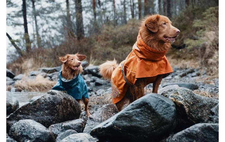 Image du produit Hurtta Manteau Monsoon Imperméable (20, XXS, XS, Imperméable pour chien)