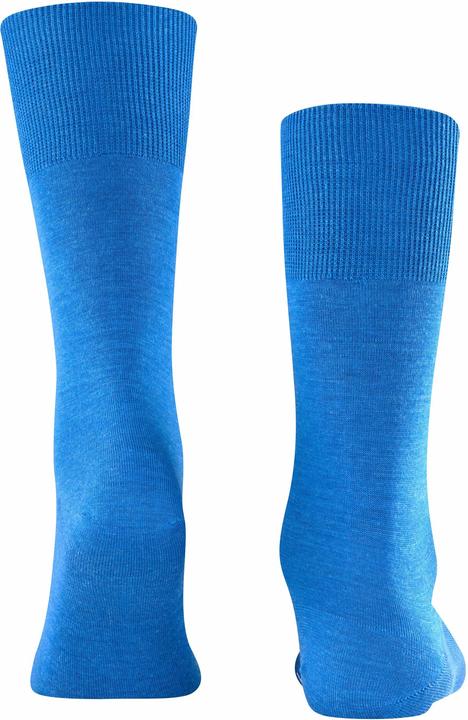 Actual product image Falke Airport SO (Single pack, 41 - 42)