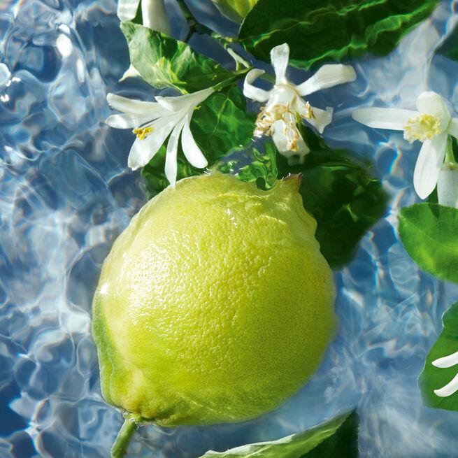 Actual product image Guerlain Aqua Allegoria Bergamote Calabria (Eau de toilette, 75 ml)
