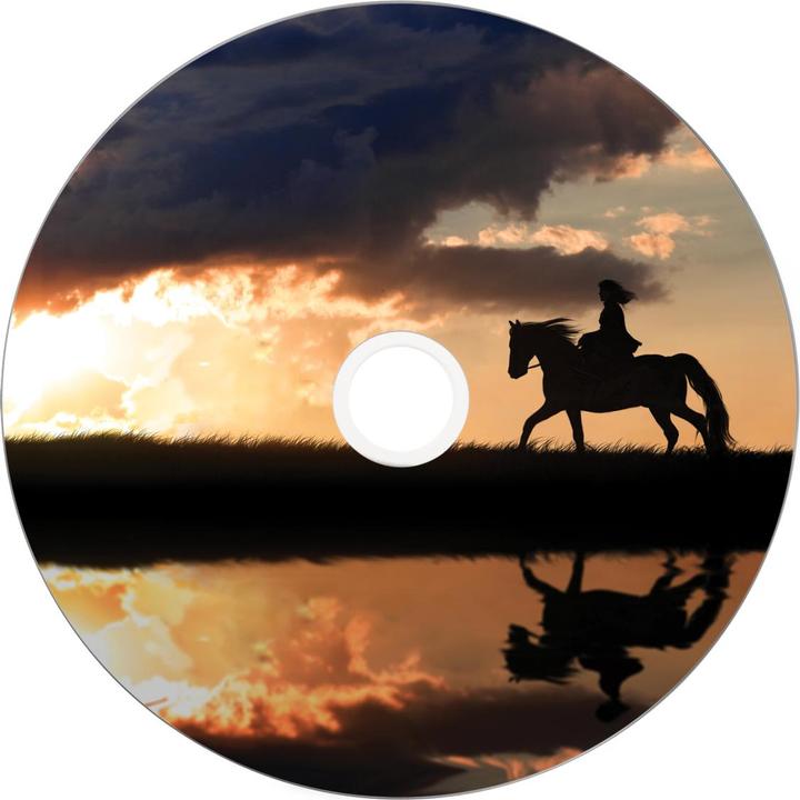 Actual product image Verbatim DVD+R, Double Layer, 8x, 8.5GB, 25 spindle (25 x)