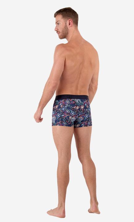 Immagine prodotto HOM Retro Boxer Funky Style HO1 (M, Confezione singola)