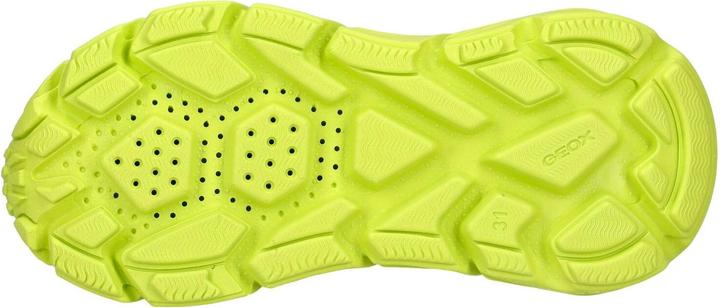 Actual product image Geox Sneaker (39)