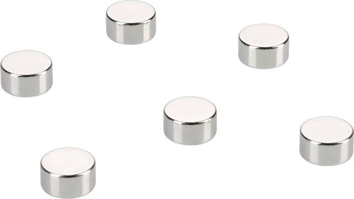 Image du produit Rheita Magnet (6 x)