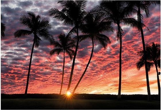 Image du produit Dennis Frates imprimé Hawaiian Sunset (30 x 40 cm)