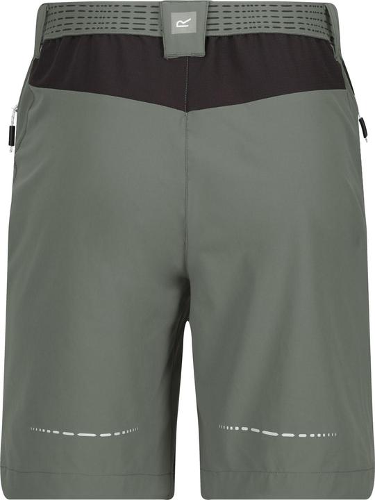 Actual product image Regatta Mens Mountain II Shorts