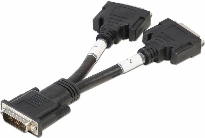 Image du produit Lindy Câble adaptateur DMS59/2x DVI-I(F) Longueur env. 16cm (0.16 m, DVI)