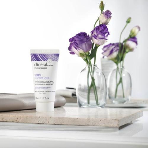 Actual product image Ahava Clineral Sebo (50 ml, 24h cream)