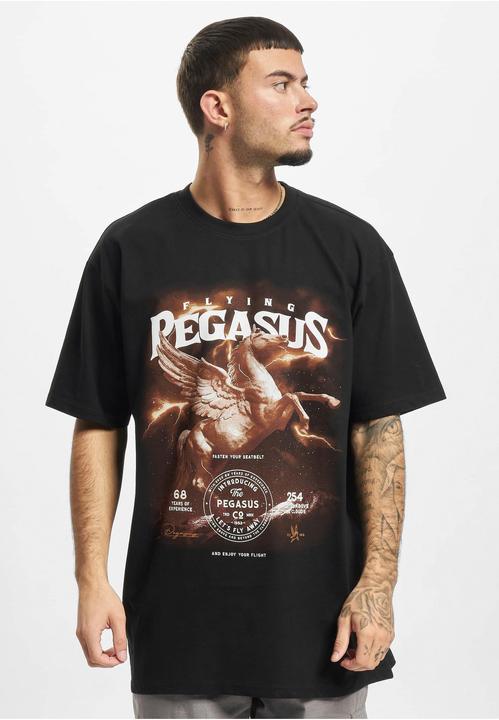 Image du produit MT Tee-shirt oversize Pegasus (L)