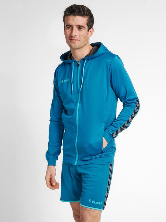 Immagine prodotto hummel hmlAUTHENTIC Poly Track Jacket Uomo (M)