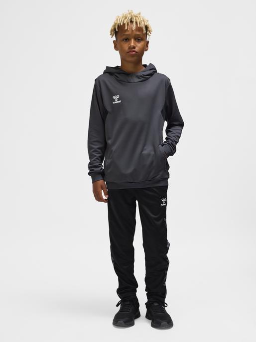 Immagine prodotto hummel Hmlauthentic Pl Hoodie Kids (140)