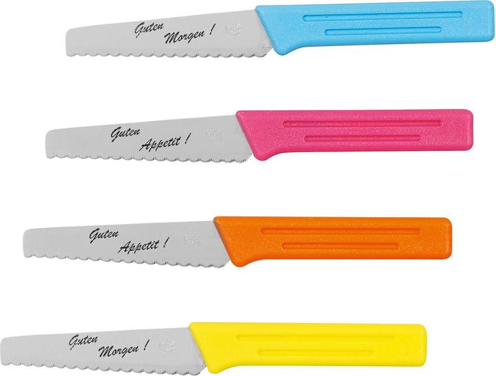 Actual product image Messerhaus Breakfast knife plastic handle 19,5cm assorted colors (36 Piece, Knife)