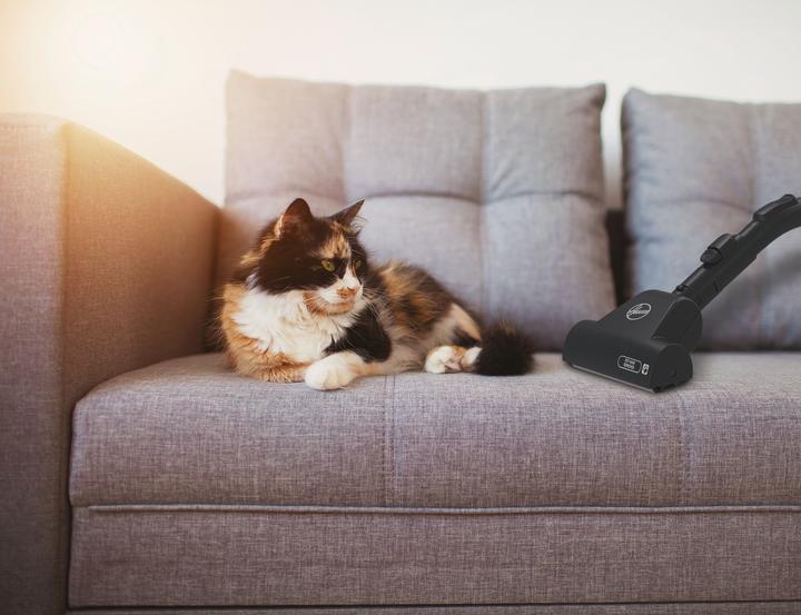 Productafbeelding Hoover HE520PET - Stofzuiger met zak Pet - 3,5 l