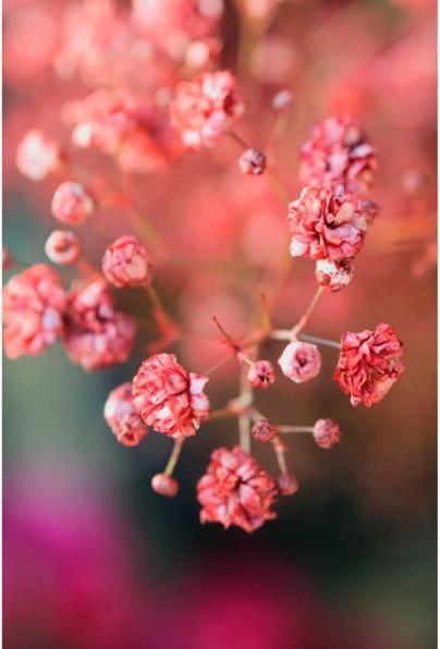 Actual product image Canon EOS R50 (24.20 Mpx, APS-C / DX)