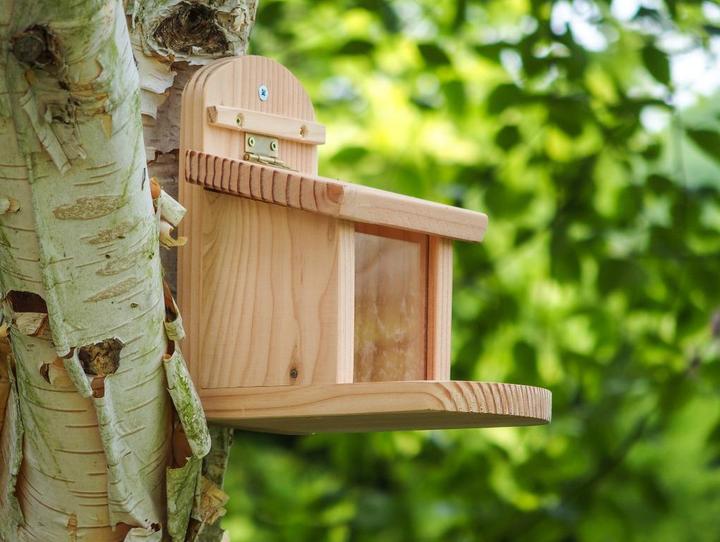 Produktbild Wildlife World Eichhörnchenfutterstation, 23 x 17 x 19 cm, FSC Mix