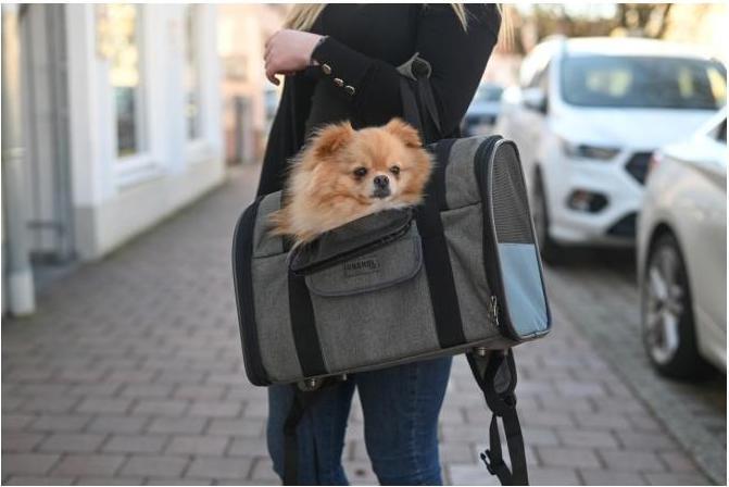 Actual product image Kerbl Dog Backpack Vacation (Dog, Foldable, Washable)