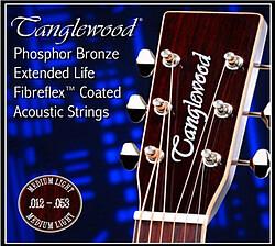 Tanglewood TWGS12 Ph.Br. Coated 012/053 (Guitar)