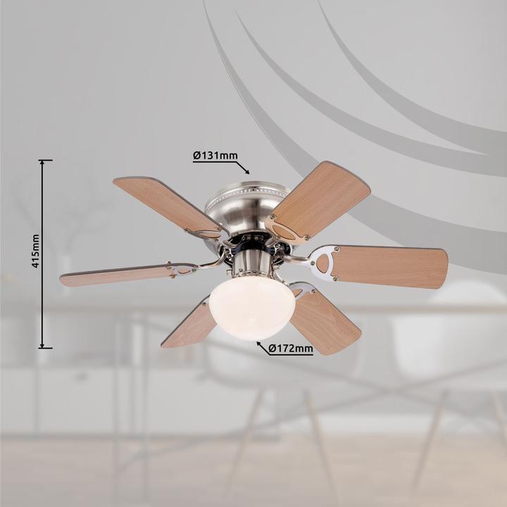 Produktbild Globo Champion (50 dB)