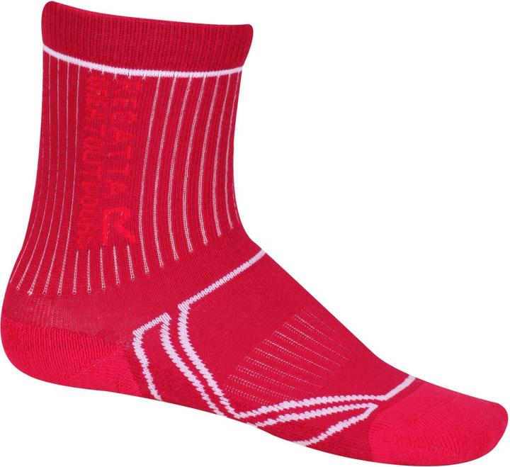 Regatta Great Outdoors 2 Jahreszeiten Coolmax Trek & Trail Socken