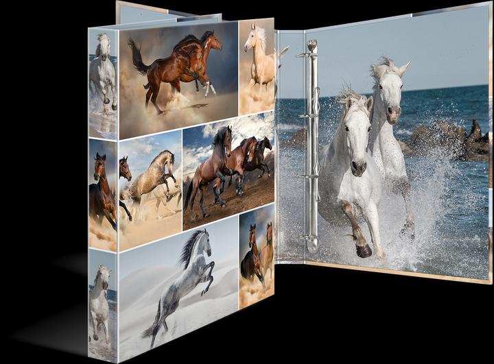 Actual product image HERMA A4 ring binder motif (A4, 35 mm, 1 Piece)