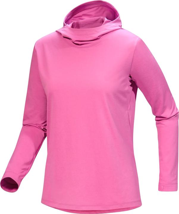 Produktbild Arc'teryx Funktionshoodie Taema (XS)