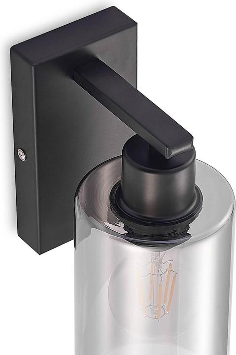 Image du produit Lindby Emavi Applique murale avec verre fumé (E27)