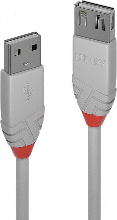 Produktbild Lindy USB A –  USB A (1 m, USB 2.0)
