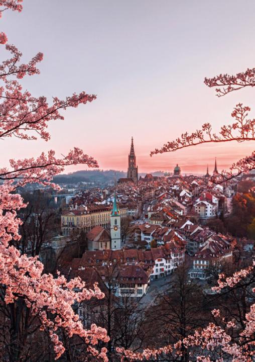 Actual product image Swiss Foto-Almanach 2026 (A5, German, French, Italian, English)