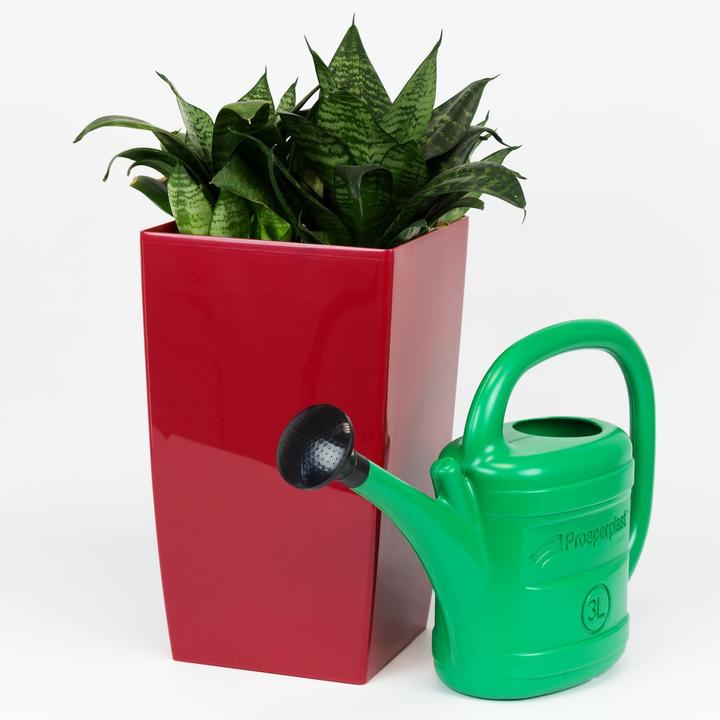 Produktbild Prosperplast Giesskanne (3 l)