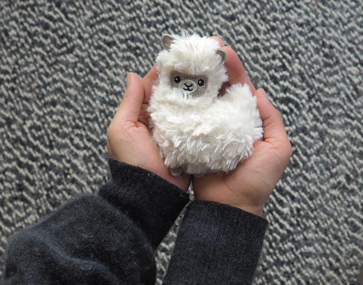 Actual product image Bitten Pocket Pal Fluffy Llama