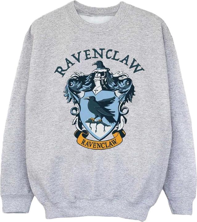 Sweatshirt Jungen (140, 146)