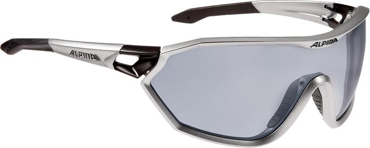 ALPINA SPORTS S-Way QVM+ Glasses (Silber, Schwarz)