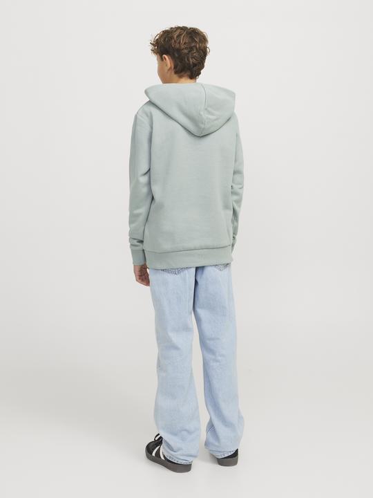 Image du produit Jack & Jones Jjecaleb Varsity Sweat Hood Noos Jnr (152)