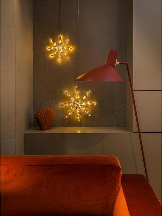 Actual product image STT Svenja Star