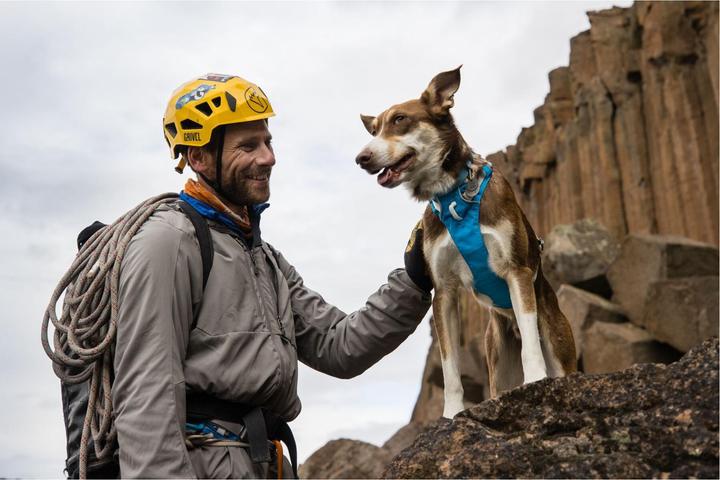 Image du produit Ruffwear Flagline harnais pour chien (M, Chien)