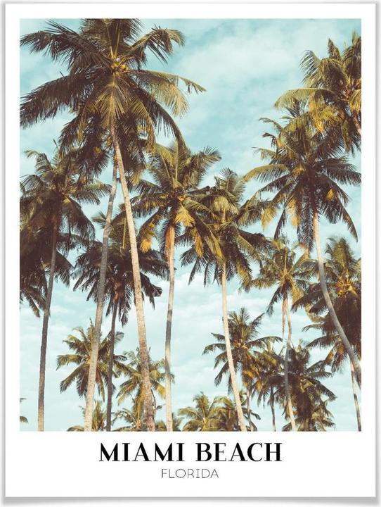 Produktbild Trenddeko Miami Beach - Florida (120 x 150 cm)