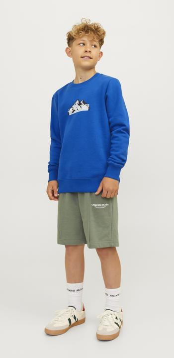 Immagine prodotto Jack & Jones Jcomountain Logo Sweat Crew Neck Sn Mni (116)