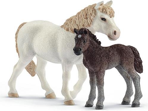 Schleich Set cavalla pony e puledro