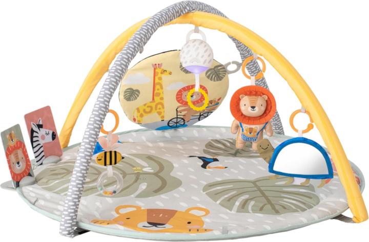 Baby play mats + Gyms