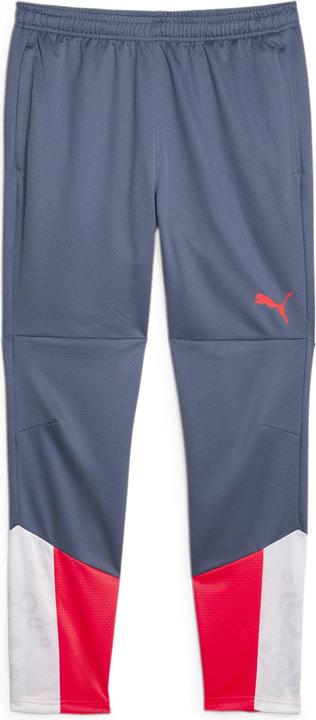 Puma individualCUP Training Pants