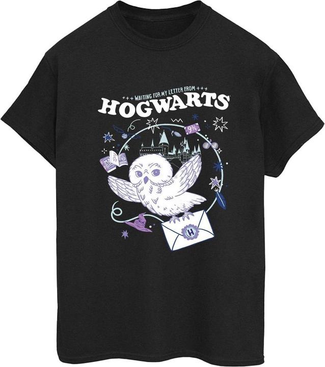 Owl Letter From Hogwarts TShirt (XL)