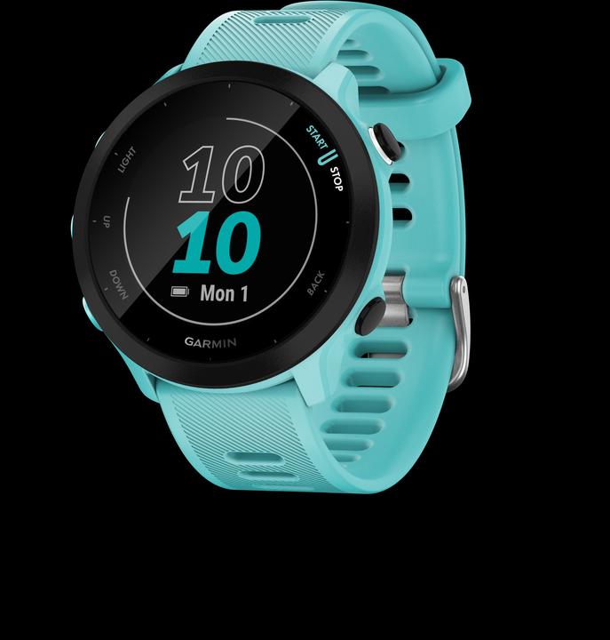 Produktbild Garmin Forerunner 55 (42 mm)