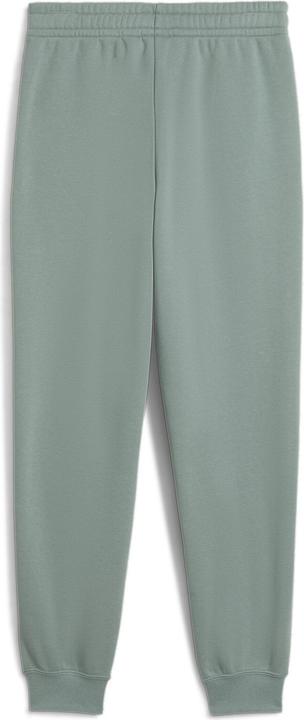 Actual product image Puma ESS 2 COLOR No. 1 Logo Sweatpants FL B (140)