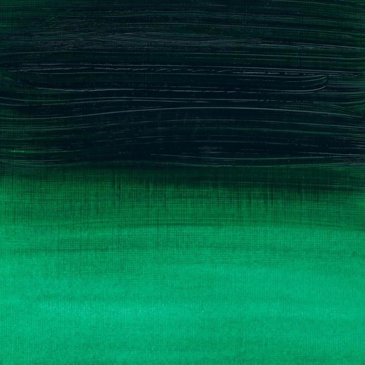 Productafbeelding Winsor & Newton Acrylverf Kunstenaar (Groen, 60 ml)