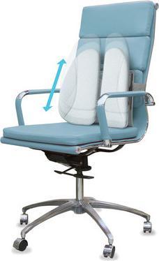 Image du produit Homedics Coussin dorsal avec couverture et chaleur