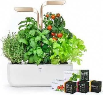 Actual product image Véritable VERITABLE CONNECT Indoor Garden gold incl 4 Packs (18.50 cm)