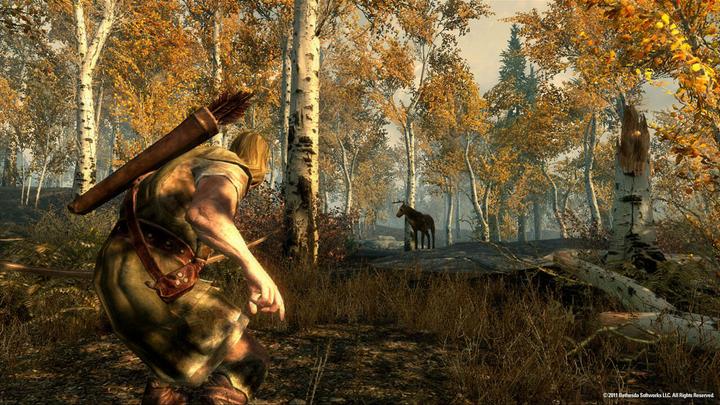 Produktbild Bethesda The Elder Scrolls: Skyrim (Xbox One X, Xbox Series X, Multilingual)