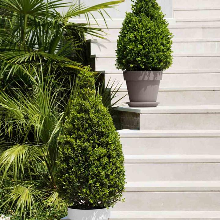 Actual product image Euro3plast Planter Mitu, round, Ø 30x27 cm, made of plastic in anthracite (30 cm)