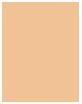 Image du produit Rimmel London RIMMEL CONCEALER MULTITASKER 030 10ML (030 Lumière)