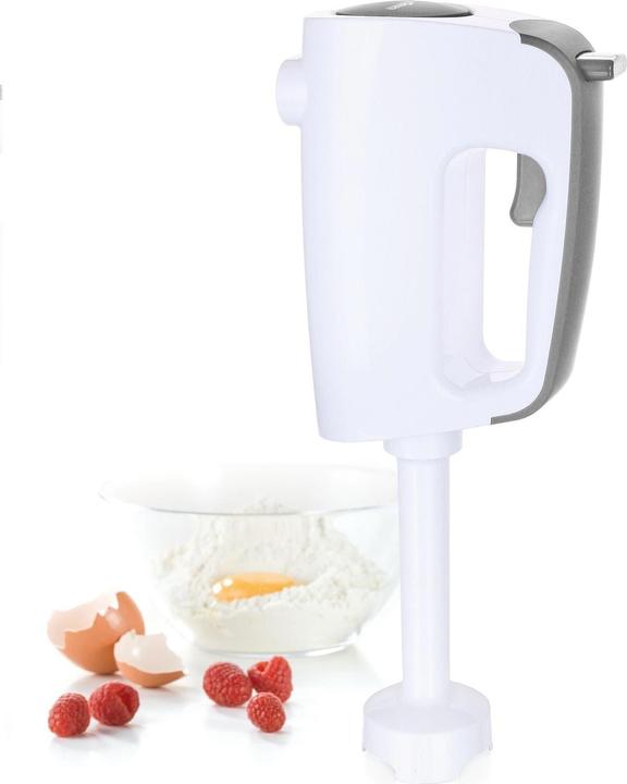 Actual product image Koenig 4-in-1 (300 W)